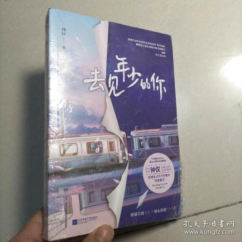 正版书籍】去见年少的你钟仅著江苏文艺出版社9787559454560