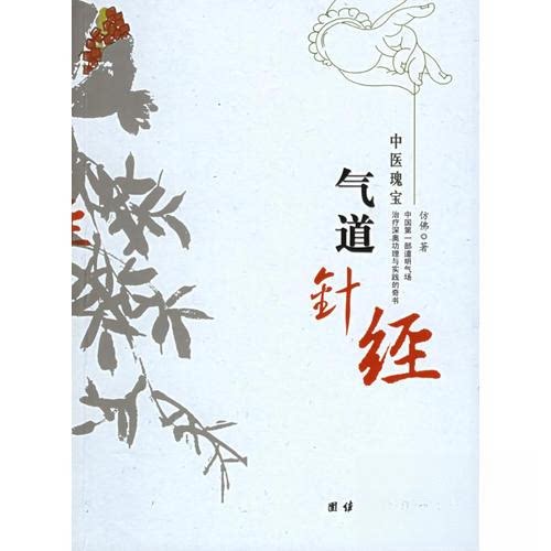 【正版书籍】气道针经仿团结出版社9787801309822