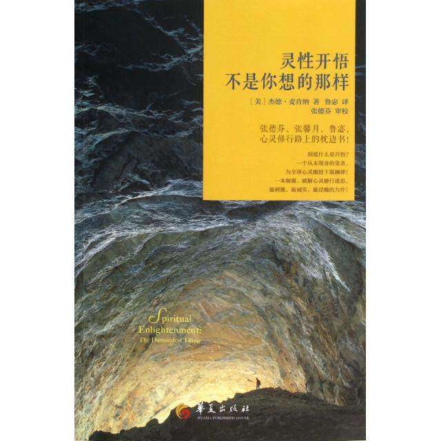 【保正版】灵开悟不是你想的那样美杰德麦肯纳著鲁宓译华夏出版社9787508074405