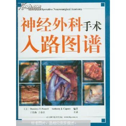 【正版书籍】神经外科手术入路图谱福斯特著于春江译丁自海山东科学技术出版社