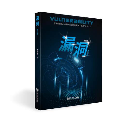 【正版书籍】漏洞 齐向东著 同济大学出版社