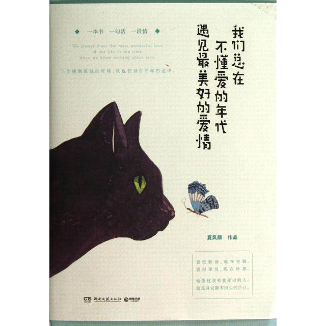 【正版图书】我们总在不懂爱的年代遇见好的爱情夏风颜著文学湖南文艺出版社