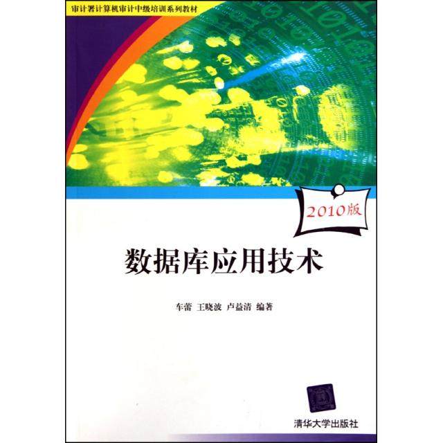 【正版书籍】审计署计算机审计中级培训系列教材数据库应用技术车蕾王晓波卢益清著清华大学出版社9787302230717