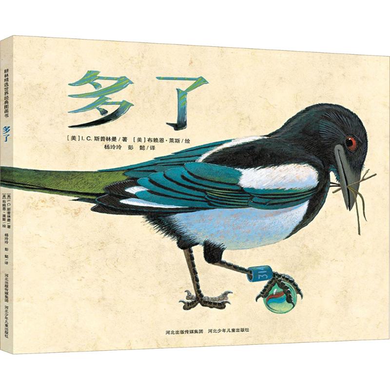 正版图书】多了美IC斯普林曼著美布赖恩莱斯绘河北少年儿童出版社9787537671675