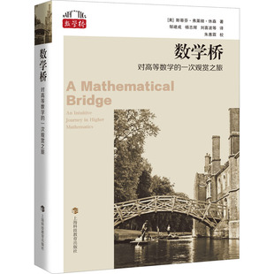 【保正版】数学桥美斯蒂芬弗莱彻休森著邹建成杨志辉刘喜波译朱惠霖校上海科技教育出版社9787542877147