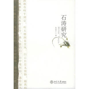 【正版图书】石涛研究朱良志北京大学出版社9787301086537