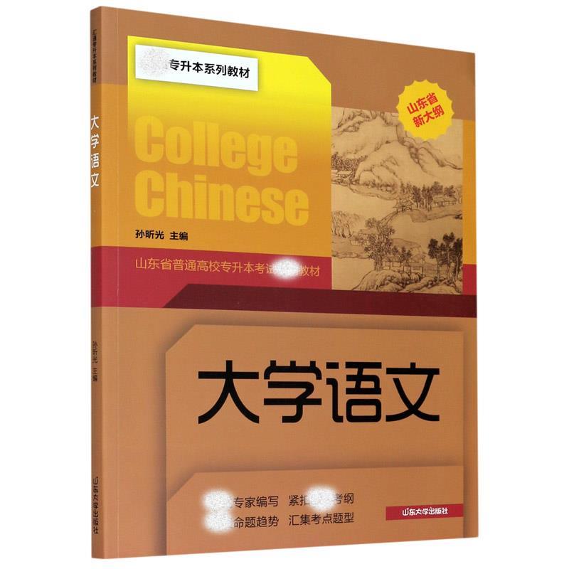 【正版书籍】大学语文 孙昕光著 山东大学出版社 9787560762692
