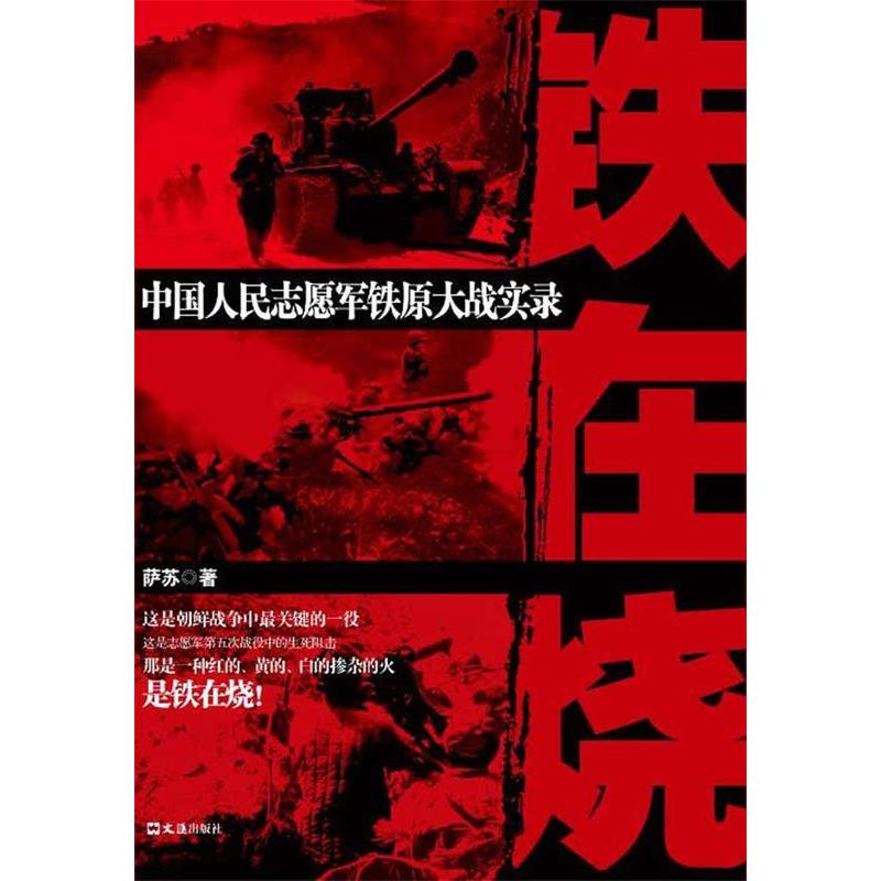 【保正版】铁在烧中国人民志愿军铁原大战实录萨苏 著人民出版社
