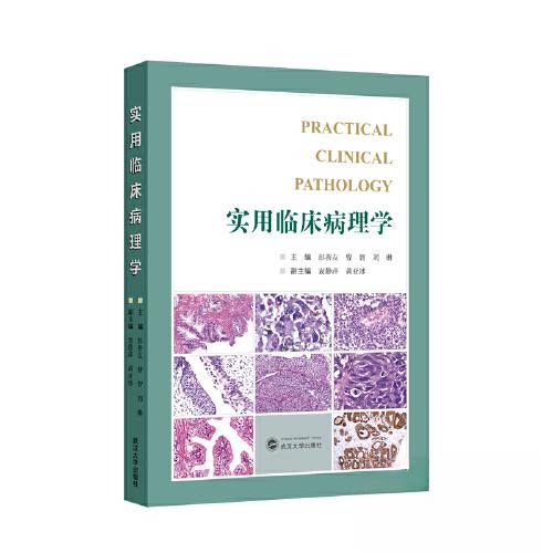 【正版书籍】实用临床病理学刘琳主亚副主彭善友曾智袁静萍武汉大学出版社