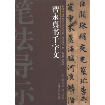 【正版图书】中国历代碑帖技法导学集成笔法导示智永真书千字文许晓俊袁卫民中书法协会编大众文艺出版社9787517200369