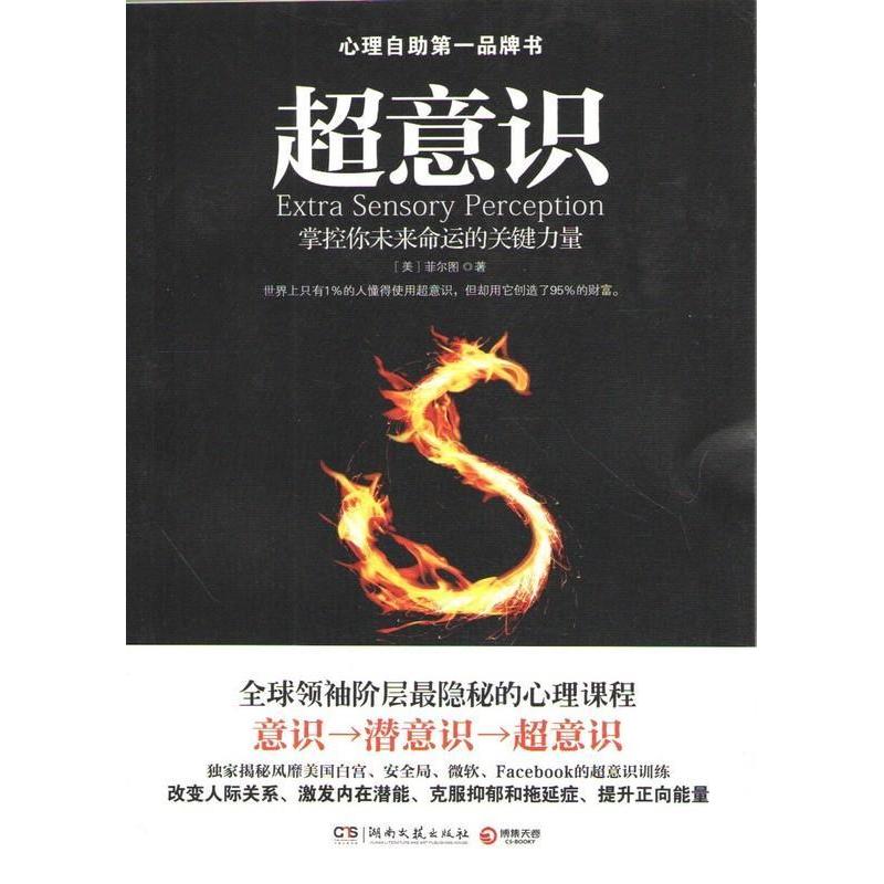 【保正版】超意识美菲尔图 著湖南文艺出版社