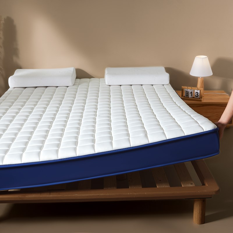乳胶记忆棉榻榻米床垫软垫子180x200家用卧室租房专用海绵床褥垫