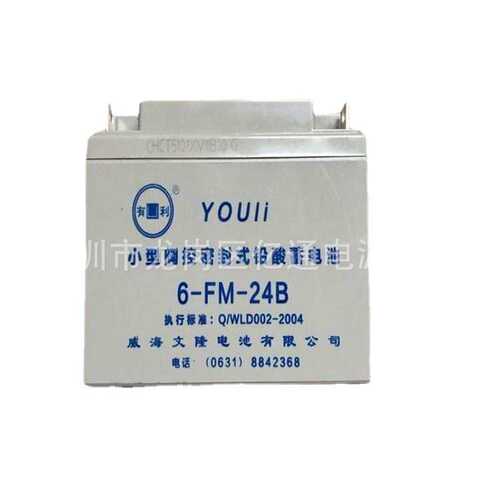 威海文隆有利蓄电池6-FM-24B通讯UPS电源专用有利12V24AH铅酸电瓶