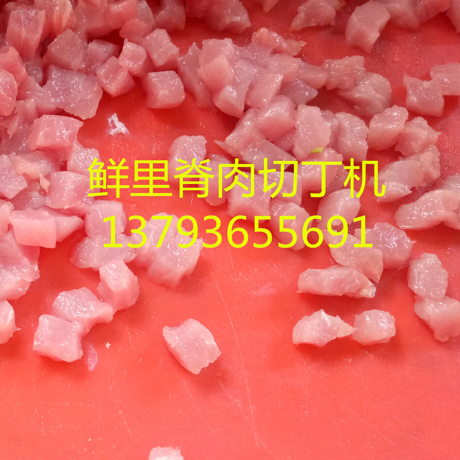 鲜的牛肉羊肉切丁机 切肉丁机 切5毫米肉丁机