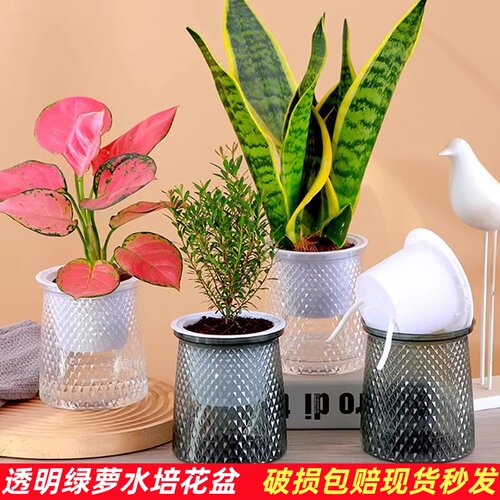 北欧塑料水培透明盆懒人自动吸水