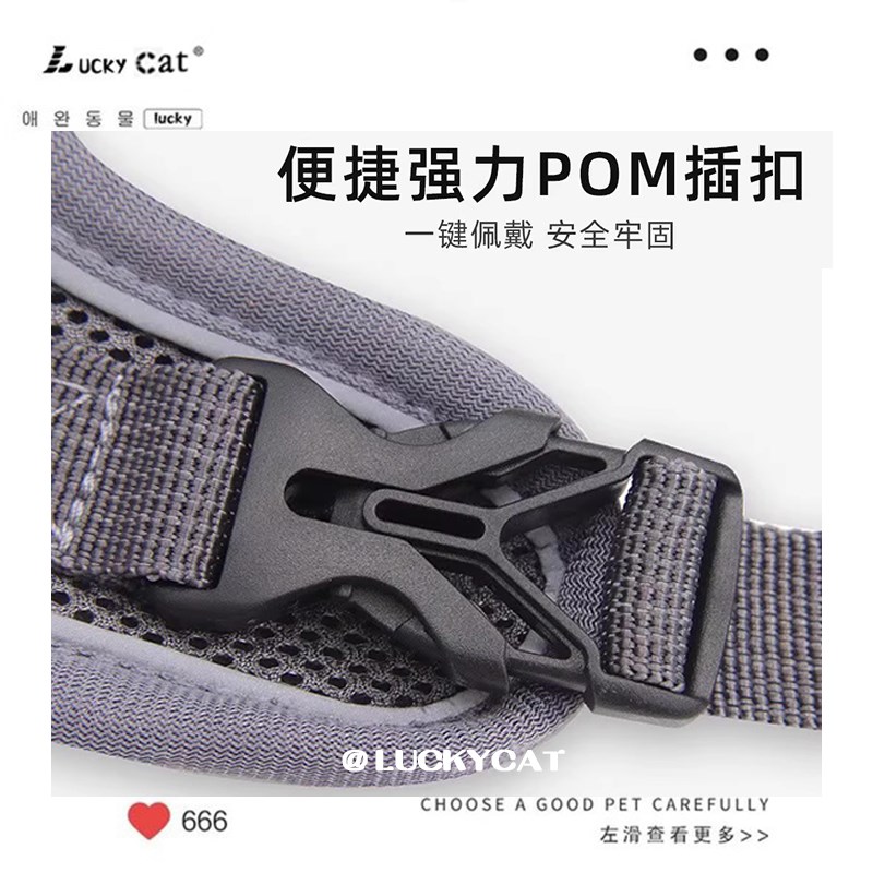 网红缅因猫咪牵引绳防挣脱外出遛猫神器宠物抱婴袋可调节溜猫绳