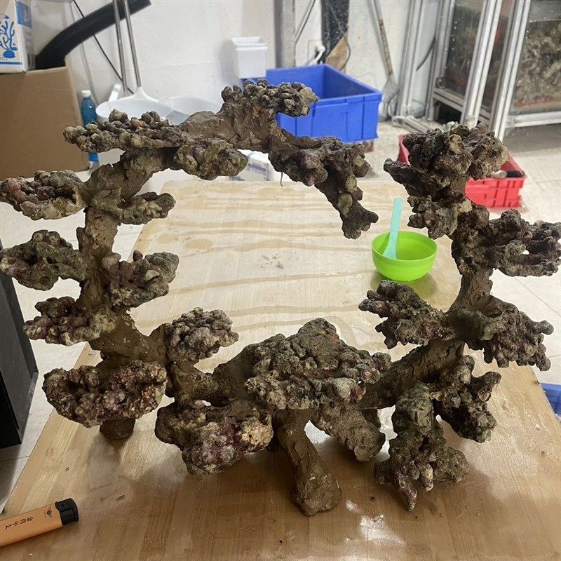 海水缸造景死石造景活石造景海水鱼三湖慈鲷珊瑚石活石假山纯天然