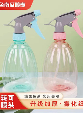 浇花喷壶小洒水壶家用园艺喷水壶小号喷雾器小型气压式喷雾瓶喷瓶