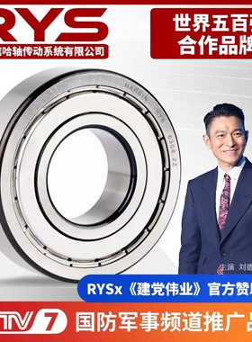 RYS 哈轴传动 6306 6307 6308 6309 6310 6311 - ZZ 2RZ 官方自营