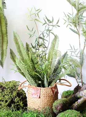 仿真灰绿色蕨叶枝长条叶厥草植物造布景插花素材室内软装搭配装饰