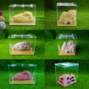 施王蚁馆 仿生态 亚克力盒石膏假山蚁巢 宠物蚂蚁城堡 工坊 家园