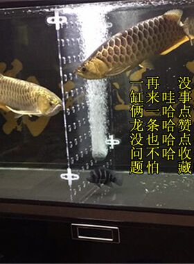 鱼缸隔离板亚克力隔离板鱼缸隔离网盒亚克力隔板鱼苗隔离网隔离板
