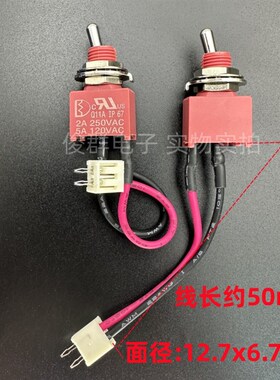 台湾德利威Dailywel摇头切换纽子开关2脚2档Q11A11M1防水型带线束