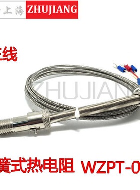 压簧式PT100热电阻 WZPT-01热电偶 Pt100 温控仪探头 传感器