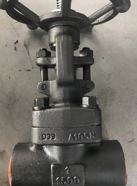 A105锻钢承插焊接高压闸阀截止阀 Z/J61H-40/64/100C 304/DN50