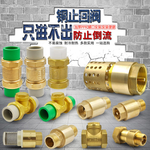 PPR止回阀黄铜卧式立式止回阀  单向阀止逆阀水管管材管件配件