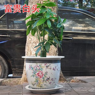 景德镇陶瓷器特大号新中式树盆花钵花盆铁树发财树室内粉彩花鸟兰