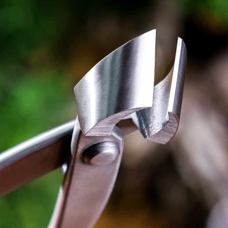 枝剪枝专业工具造型钳鼎不锈凹形木斜修剪专用剪刀盆景钢叉口制作,童鞋/婴儿鞋/亲子鞋,量脚器,淘宝优惠券,粉丝福利购,淘宝优惠卷