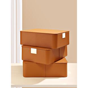 不止收纳衣柜内衣内裤收纳盒带盖子文胸袜子分格整理盒