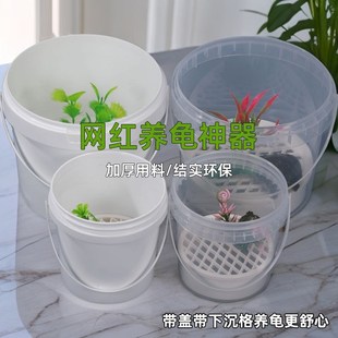 奶茶桶养龟透明桶小乌龟专用饲养缸家用粪便分离周转箱龟苗发色盒