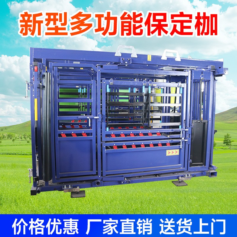 新型牛用 防疫打针手术保定枷 去蹄去角做检查加厚管材称重保定枷