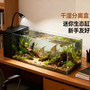 新款生态溪流缸客厅小型侧滤玻璃一体式免换水鱼缸家用桌面造景缸