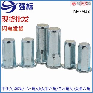 拉铆螺母盲孔竖纹防水封闭镀锌小沉头平头半六角拉姆M4M5M6M8M10