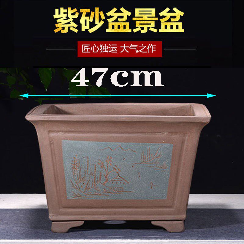 宜兴紫砂特大盆景盆 大口径正方形斗盆 发财树 铁树 树桩花卉绿植