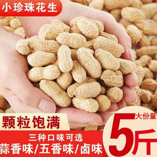 新货龙岩特产水煮白晒咸干花生蒜香五香多味带壳花生米坚果炒货零