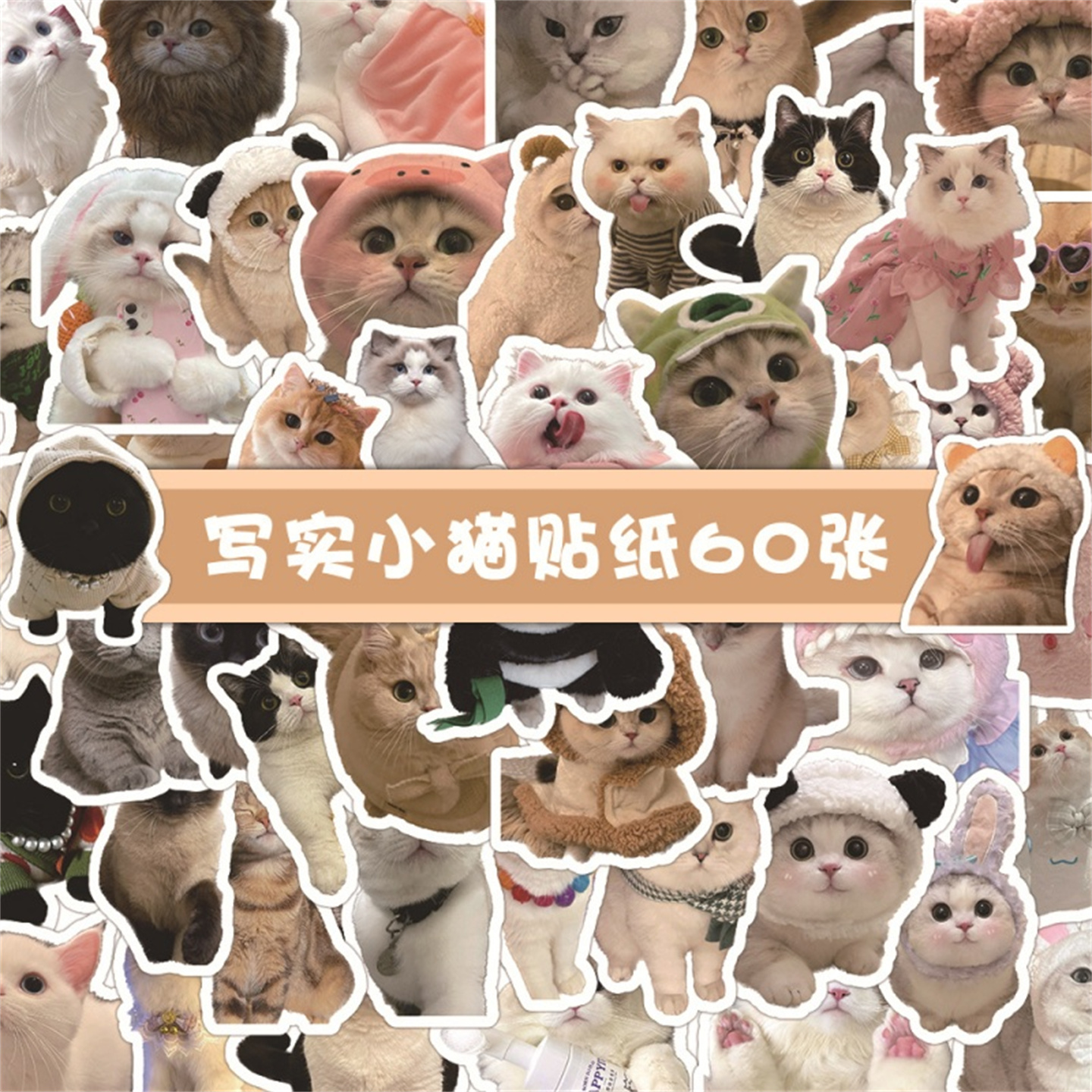 60张卡通写实小猫贴纸可爱猫咪