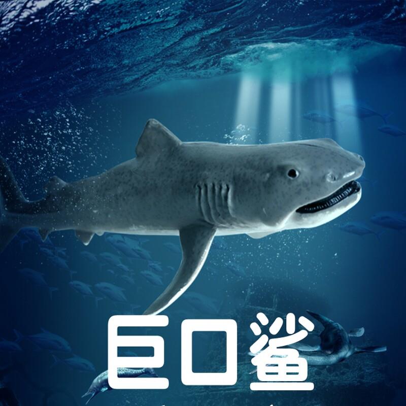 儿童海洋鲨鱼玩具巨口鲨模型仿真动物套装深海史前古生物摆件