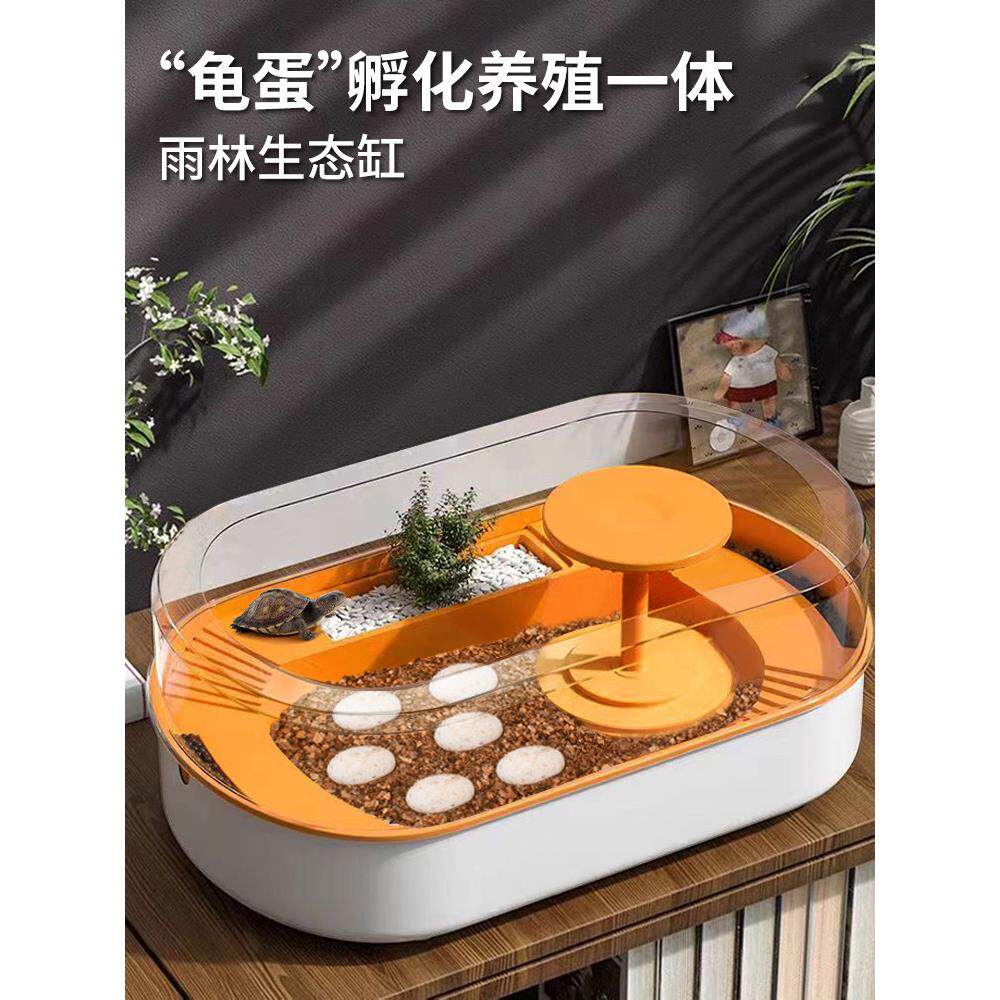 小乌龟孵化蛋动物玩具儿童蛋恐龙蛋仿真海洋仿生海龟男孩女孩夜光