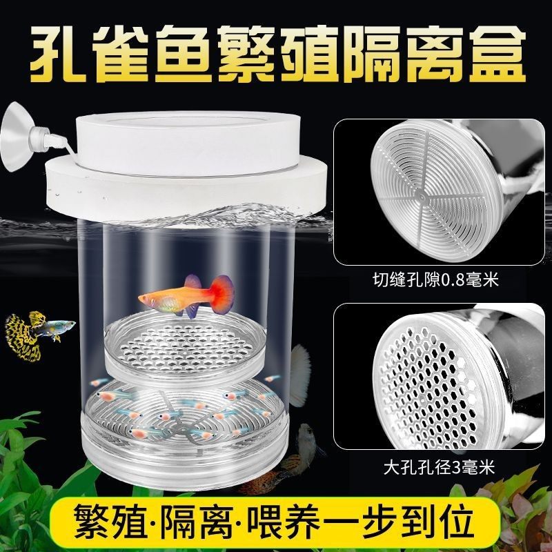 生鱼分离器产房小鱼苗孵化盒母鱼亚克力隔离盒孔雀鱼隔离盒鱼缸,宠物/宠物食品及用品,加热/保温设备,淘宝优惠券,粉丝福利购,淘宝优惠卷