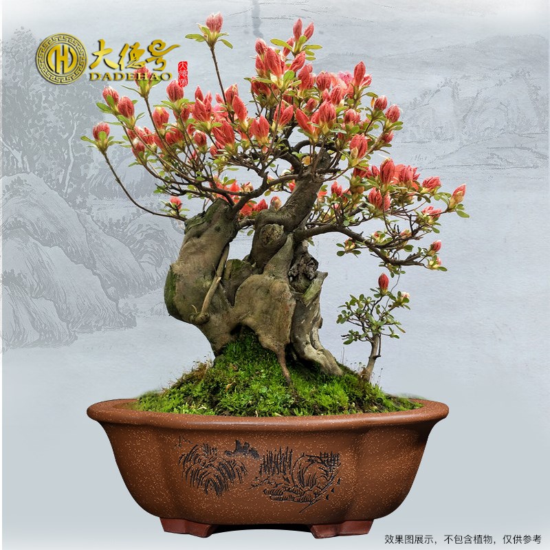 盆景盆紫砂花盆方型长方海棠形树桩盆栽刻绘紫砂盆椭圆形盆景花盆