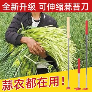 蒜苔收割器刀打抽蒜苔的工具划抽蒜薹神器蒜苔抽拔器包邮