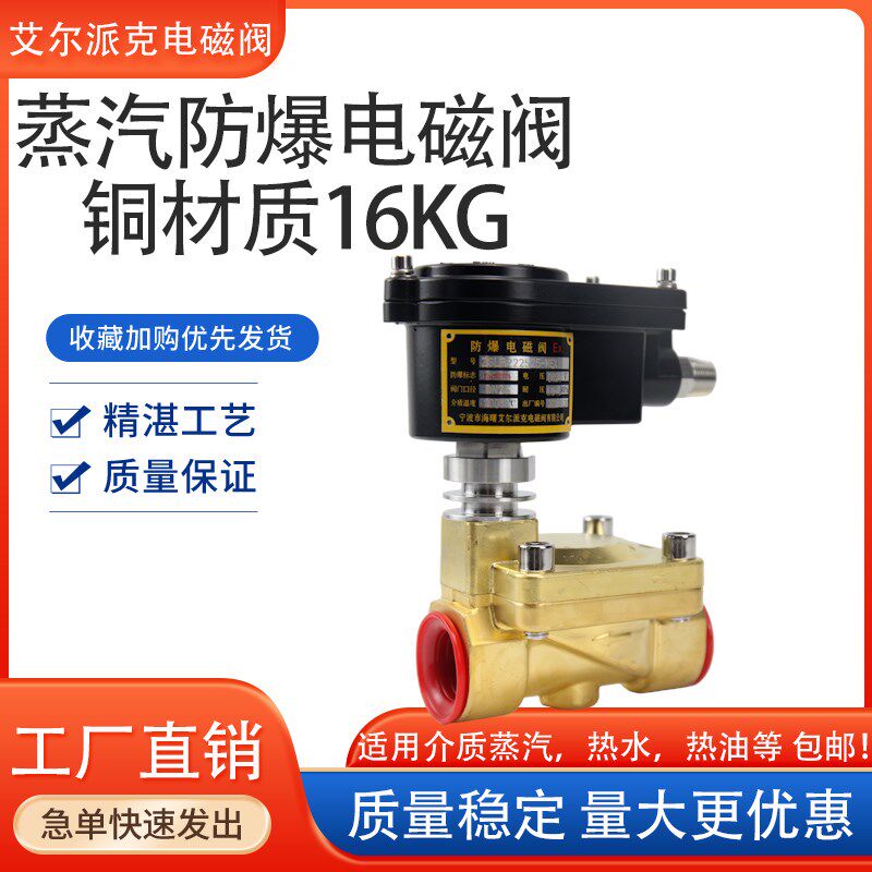 ZSLB铜材质蒸汽防爆电磁阀/200度高温/耐压1.6MPA /带散热片/隔爆