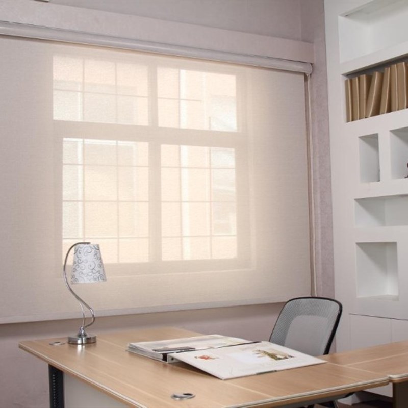 阳台写字楼办公全遮光卷帘阻燃阳光面料防水防油拉珠电动窗帘卧室