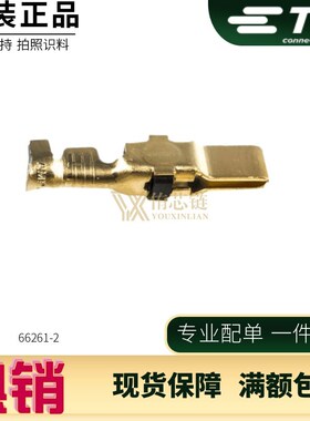 66261-2 TYCO泰科TE安普AMP连接器 接插件端子插针 原装现货