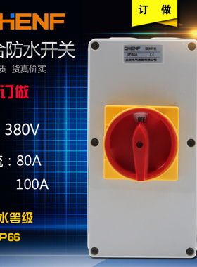 辰发组合防水开关3极80A 100A电机负荷开关户外隔离开关三相380V