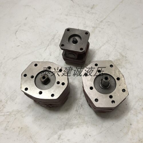 BB-B25A/B16A船用齿轮箱油泵BB-B32A/BB-B20A/BB-B40/B63A杭齿A-1
